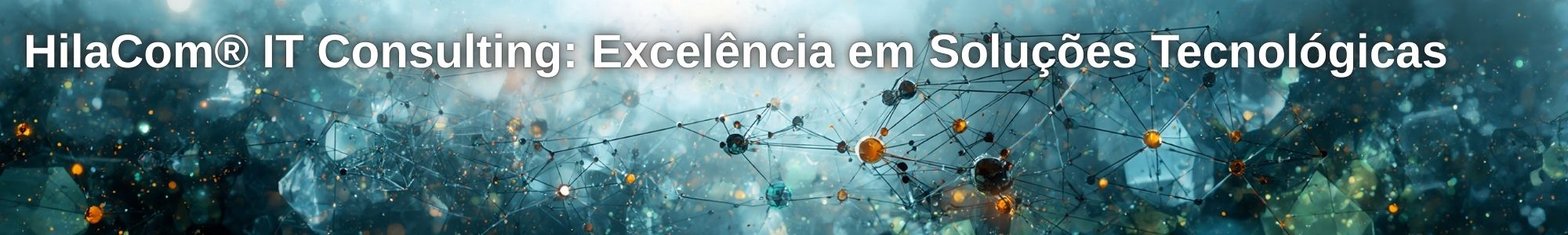HilaCom IT Consulting